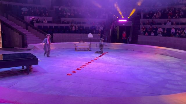 Это было очень яркое #шоу / Идём вместе в ЦИРК #ВЛОГ / Детский канал #видеодлядетей смотреть онлайн