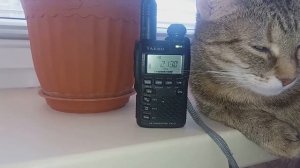 Поездная радиосвязь 2130 кГц. YAESU VX-3R