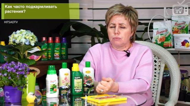 Спрашивали? Отвечаем ? ТОП 5 вопросов о подкормке комнатных растений смотреть онлайн