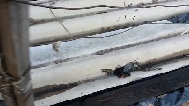 Открываем виноград от пленочного укрытия. С земляным еще плвременим. 17.03.19г.