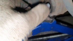 Проставки на мазду 6 американка  GL