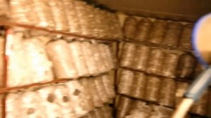 Вешенка, Как сделать вентиляцию правильно.