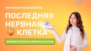 Урок 2. Марафон Последняя нервная клетка