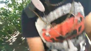 Этот трэк про джентльменов