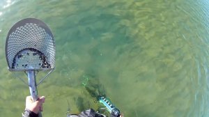 Золото на следующую поездку ЕСТЬ!/Подводный Поиск с Металлоискателем на побережье  Азовского моря/