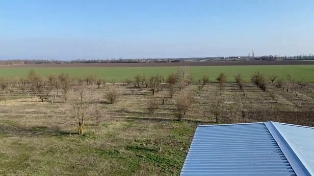 В продаже фермерское хозяйство #купитьферму #строимферму #семейнаяферма #фермерскоехозяйство