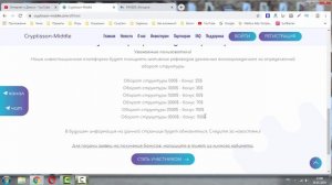 Cryptisson-Middle заработай 150% за 30 дней | Обзор проекта