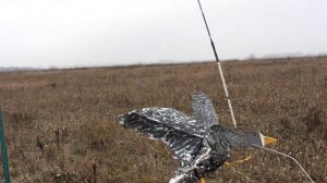 Флюгера на гуся
