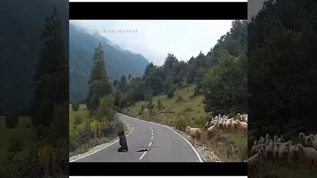 Дерзость ? смотреть онлайн