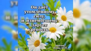 Спасибо Господи за всё🙏