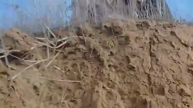 // В САЛЬСКОМ РАЙОНЕ РОСТОВСКОЙ ОБЛ. НА ОХОТЕ ОБНАРУЖИЛИ СНЕЖНОГО ЧЕЛОВЕКА. 4.11.19. смотреть онлайн