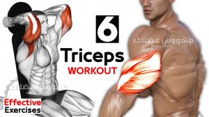 How To Build Your Triceps Fast (6 Effective Exercises)