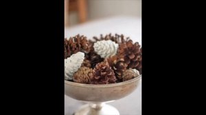 Поделки  из    шишек