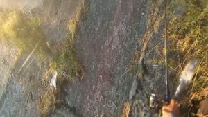 Отводной поводок со вторым крючком.