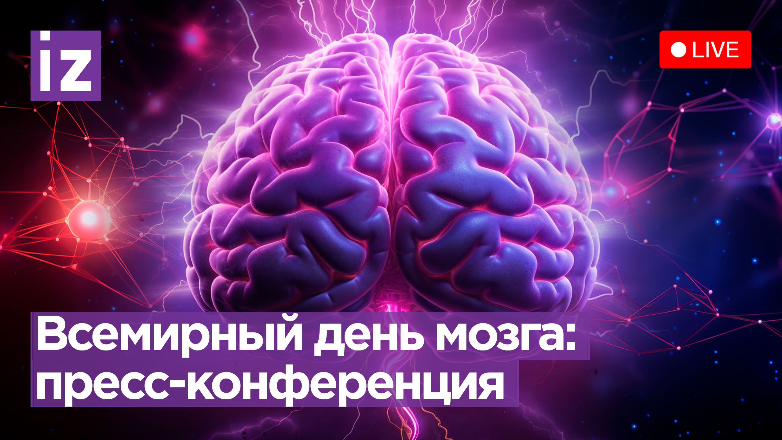 Как сохранить работоспособность мозга: пресс-конференция / Известия