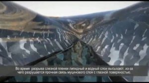 Научный подход в основе Систейн® Ультра