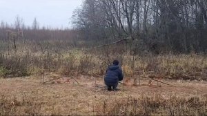 ловля птиц на тайник, щур, снегирь???