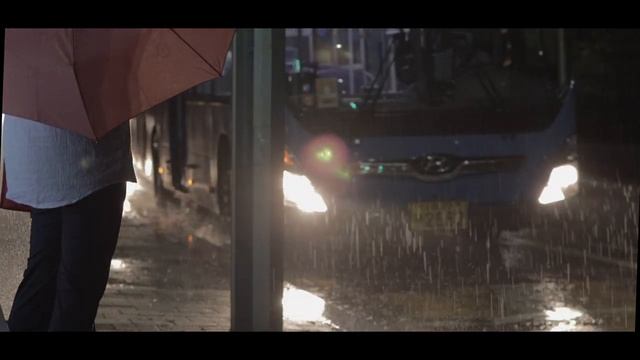 Heavy rain night. Canon 90D смотреть онлайн