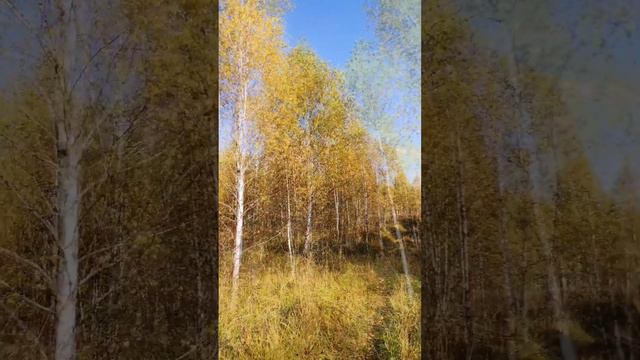 Осенний день смотреть онлайн