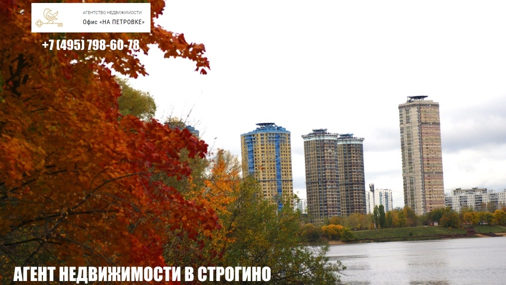 СТРОГИНО ОСЕНЬЮ | РИЭЛТОР В СТРОГИНО | КУПИТЬ КВАРТИРУ  В СТРОГИНО | ПРОДАТЬ КВАРТИРУ В СТРОГИНО|