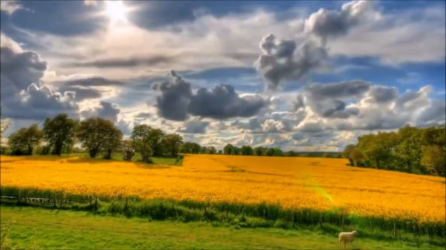 Нам птахи милостью своей… смотреть онлайн