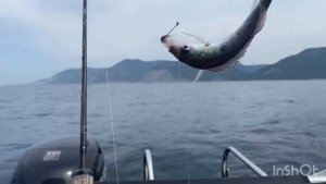Большой Утриш. Малый Утриш. Рыбалка в море. Причал на Змеинке. Мангал на лодку?