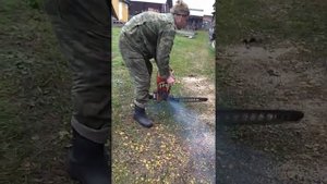пила "дружба " после 10  лет простоя.
