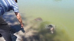 Крым.Рыбалка в с. Денисовка. Открыли рыбалку после карантина.