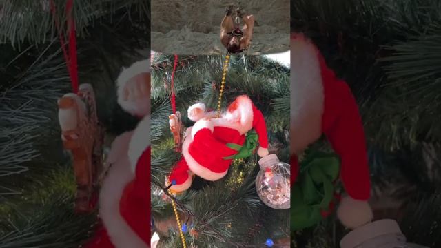 Дед Мороз-Скалолаз, GN-7406 смотреть онлайн