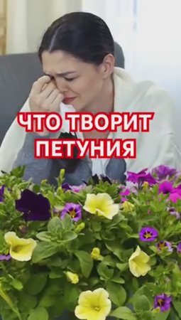 ОШИБКИ, которые вам не простит ПЕТУНИЯ