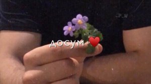 «гель досум» Хадис/Сэм ??