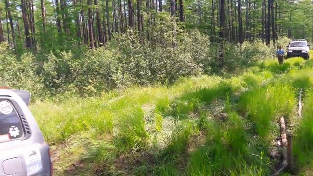 р. Витим, р. Большой Амалат 2017 г. смотреть онлайн