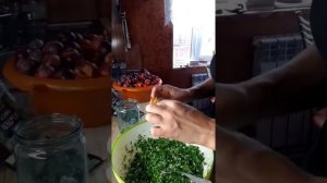 Маринованные сливы с зеленью и чесноком.