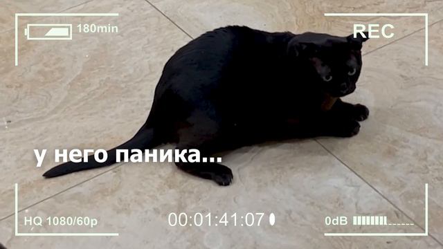 переезд в новую квартиру || vlog 8 || Nastya VIK