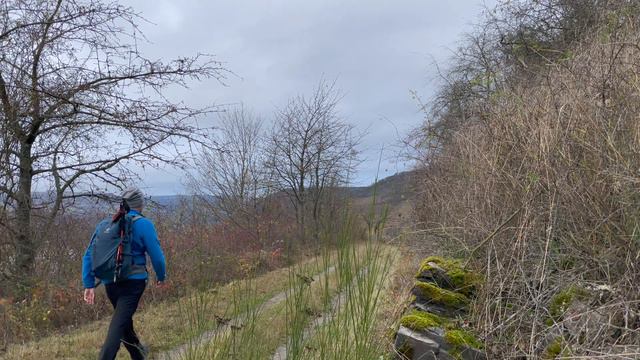 Wisper Trails - In Vino Veritas смотреть онлайн