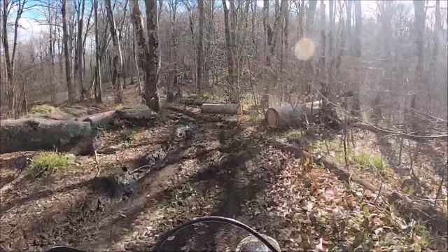 Лесная покатушка на Эндуро Мотоцыклах. смотреть онлайн