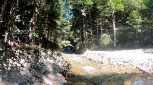 Дорога на Кислые Источники 2019