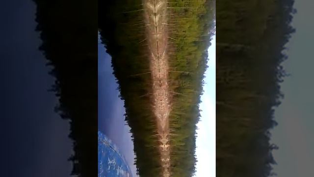 Амурская область деревня хвойный водохранилище Зея едим домой смотреть онлайн