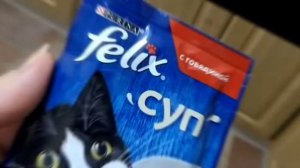 ДОМИК ДЛЯ МАРУСИ, ФЕЛИКС СУП, ИГРУШКИ ДЛЯ КОШКИ, РОБОТ ПЫЛЕСОС ХОККЕИСТ