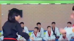 Самый сильный каратист