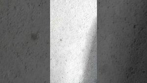 неизвестный стук в моторе форд фокус 3