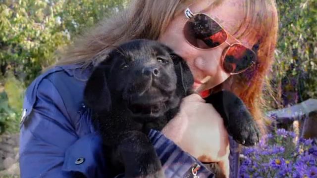 Питомник Night Eclipse