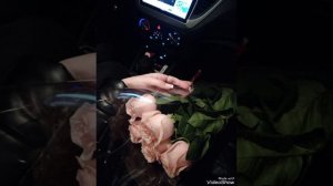 Новая цыганская песня 2024