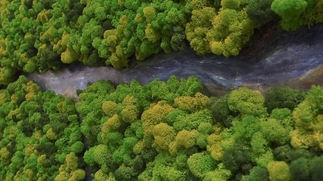 Вертикальное озеленение стабилизированным мхом