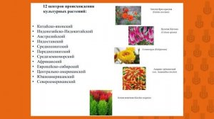 Цветоводство, как отрасль растениеводства. Задачи и роль цветоводства в озеленении населенных мест
