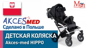 Детская инвалидная коляска для детей с ДЦП Akces-Med Hippo (Аксесмед Гиппо) от Медтехника №1