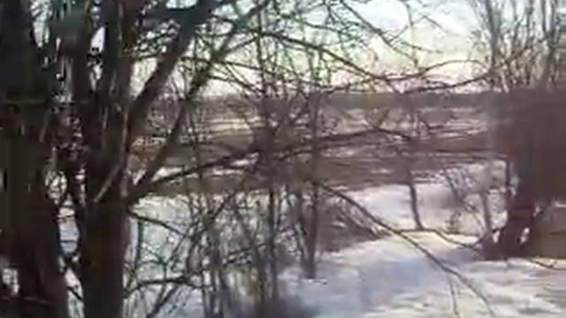 весенняя охота на гуся смотреть онлайн