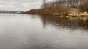 ВОТ ЭТО КЛЕВ ГОЛАВЛЬ ЕЛЕЦ НА НИМФУ