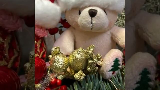 цветы от венеры