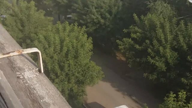 Трехшерстная умничка! смотреть онлайн